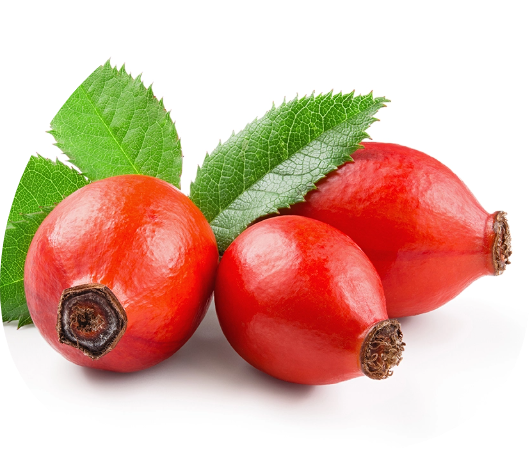 shutterstock_605311181